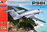 P1.HH Hammerhead (Demo) UAV