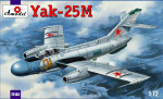 Yak-25M Soviet fighter