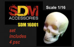 Accessories for diorama. Human skull, 4 pcs