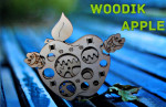 Mechanical 3D-puzzle "Woodik Apple"