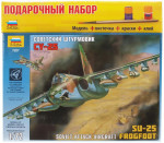 Sukhoi Su-25 Jet aircraft